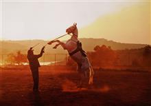 photo by Aneesh Joglekar