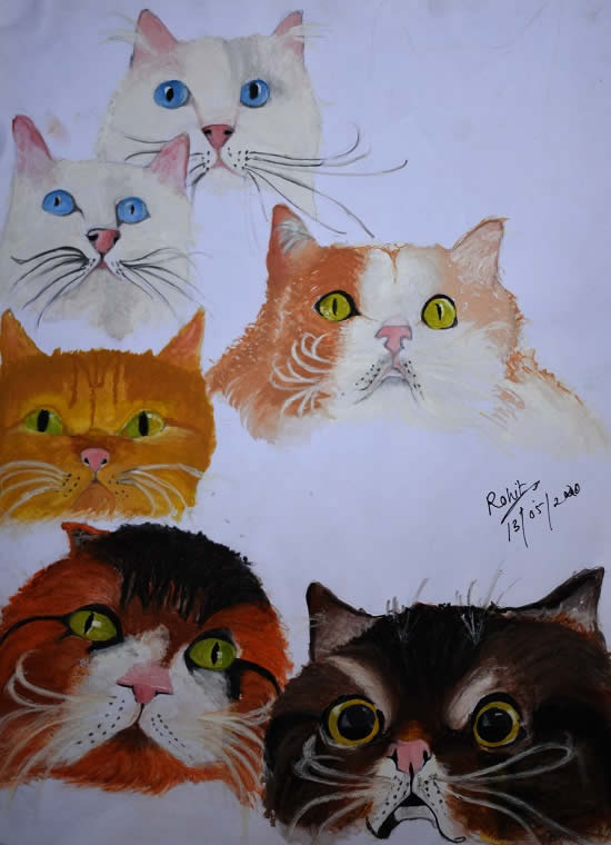 painting of cats received honorable mention in khula aasmaan drawing and painting competition