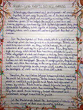 Essay by Aditi Vishwanath