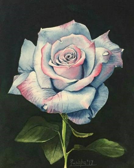 Glow of rose, painting by Pushpa Sharma