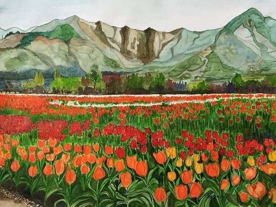 Tulip Garden in Srinagar, painting by Pushpa Sharma
