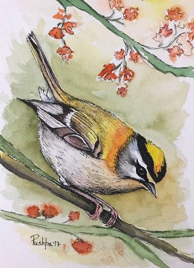 Bird - 2, painting by Pushpa Sharma