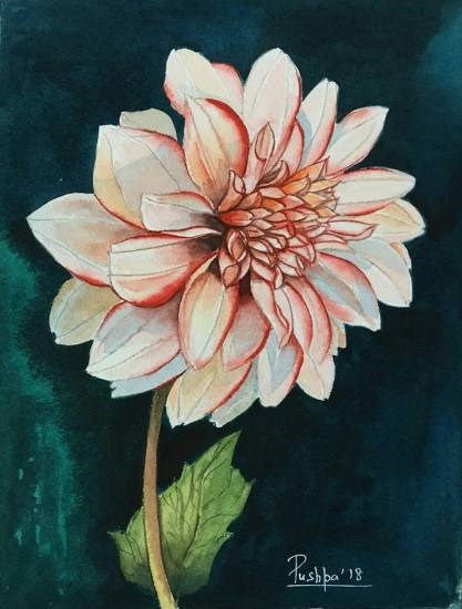 Grace of Dahlia, painting by Pushpa Sharma