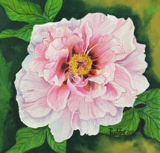 Pink Peony, painting by Pushpa Sharma