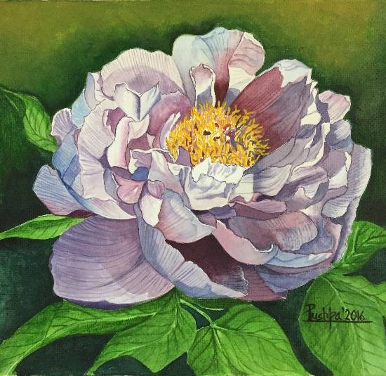 Purple Peony, painting by Pushpa Sharma