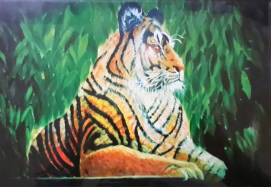 Painting  by Aman Khandelwal - The lonely Tiger