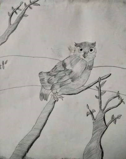 Owl, painting by M Varsini