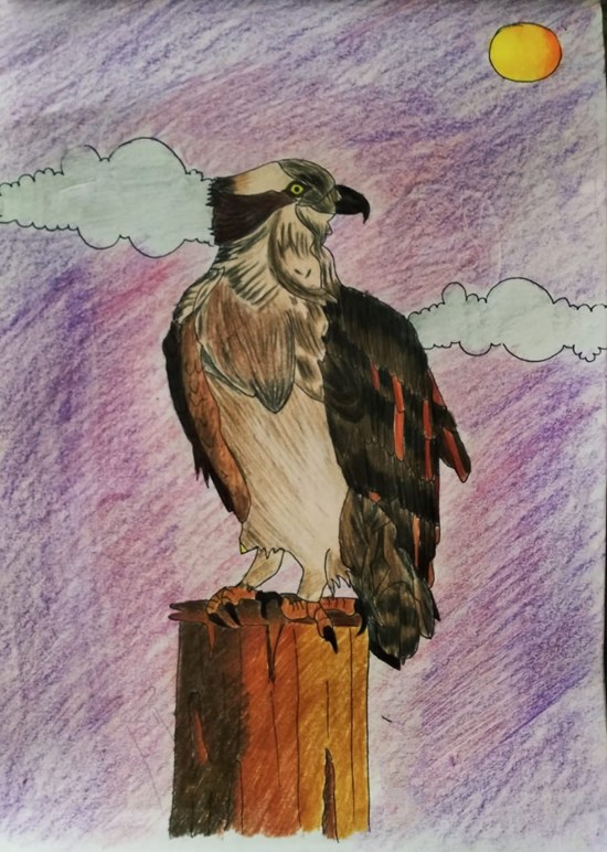 Bird -Eagle, painting by Adip Songire