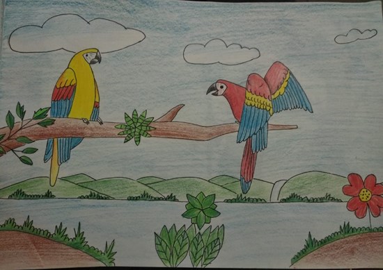 Bird - Parrots, painting by Adip Songire