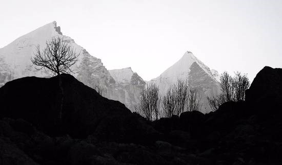 Bhagirath Peaks - Near Gaumukh, Gangotri, photograph by Kumar Mangwani