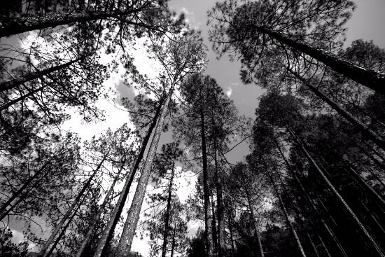 Touch The Sky - Garhwal Himalayas, Uttarakhand, Photograph by Kumar Mangwani