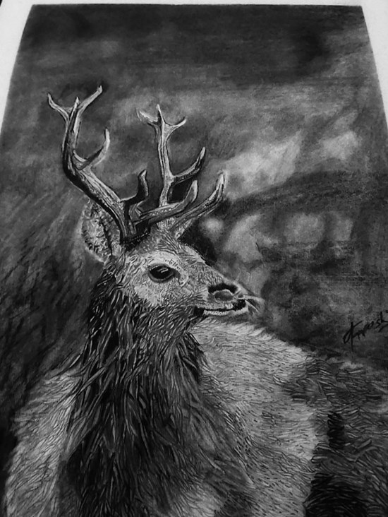 Wildlife, painting by Kajal Mittal