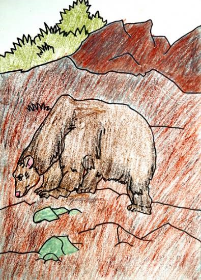 Bear, painting by Ayaan Alam