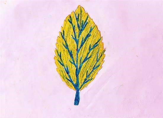 Object drawing - leaf, painting by Hasina Ganesh Vaghat