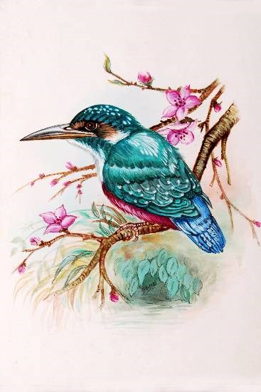 Kingfisher, painting by Hutoxi Wadia