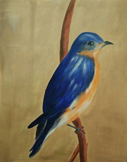 An eastern bluebird, painting by Swati Gogate