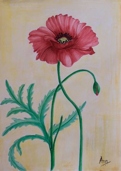 painting by Anjuli Minocha - Poppy - 4