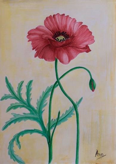Poppy - 4, painting by Anjuli Minocha