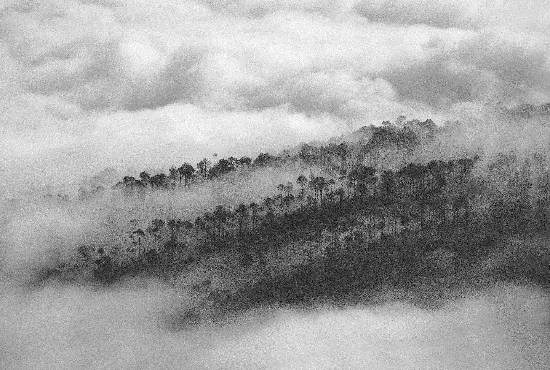 Island in the clouds, photograph by Ashok Dilwali