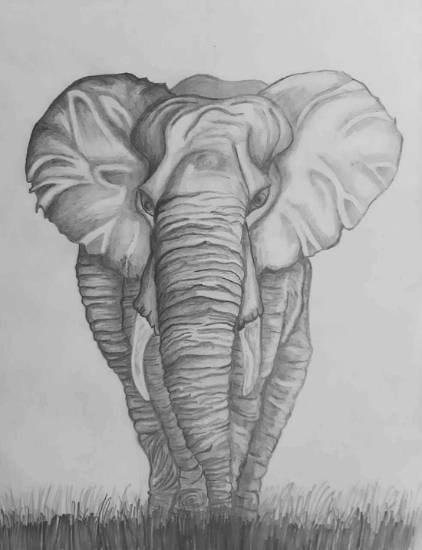 Elephant, painting by Sujitha S P