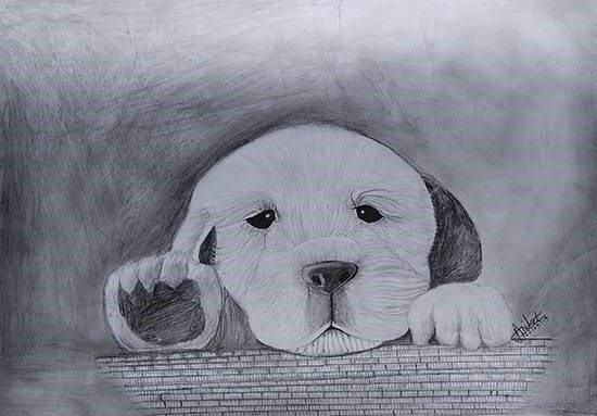 Golden retriever puppy, painting by Aniket Vibhute