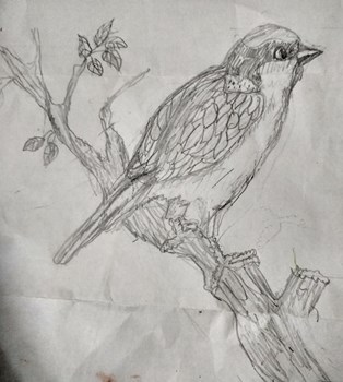 a-rt sparrow （Cute sparrow bird in a winter knitted hat. Raster 