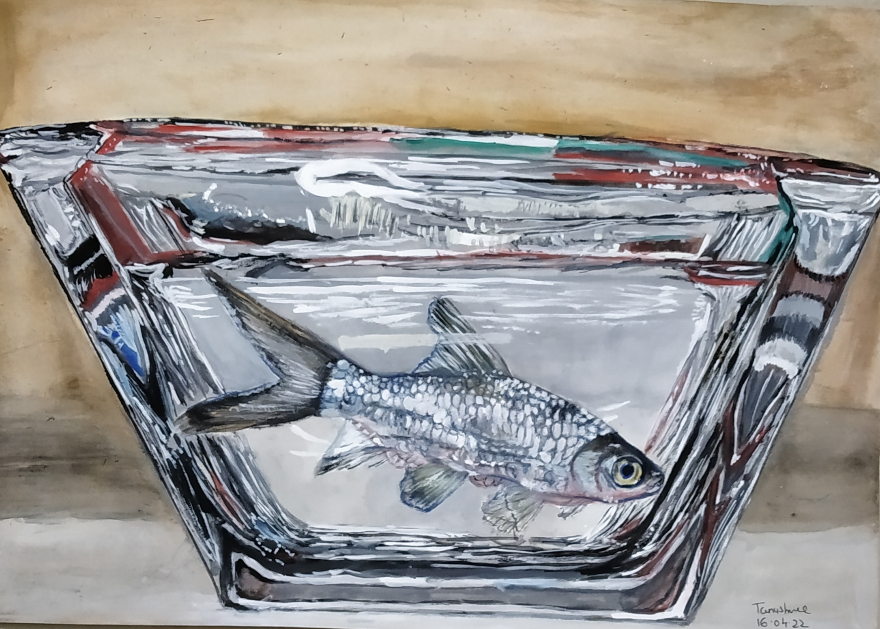 painting by Tanushree Bhattacharya - Fish in a water Bowl