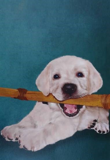 Bingo, the Labrador, painting by Shriya Nulkar