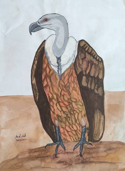Vulture Bird, painting by Amol Naik