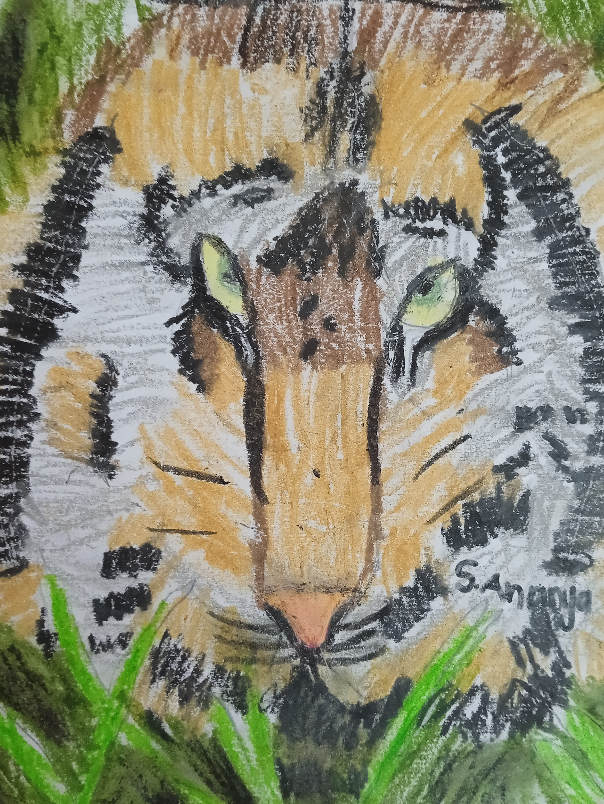 Artwork  by Ananya  - Focus like tiger