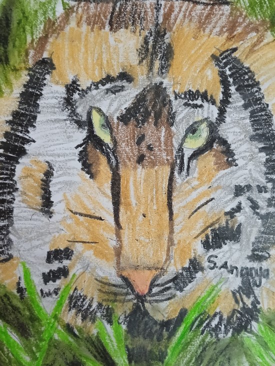 Focus like tiger, painting by Ananya 