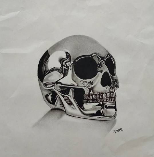 Painting  by Dhir bhatt - Chrome Skull