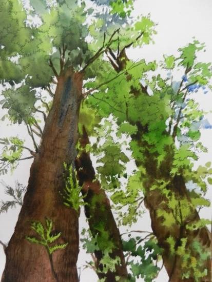 Looking up through the trees, Panchgani, painting by Chitra Vaidya