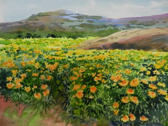 Marigold Fields - 2, Painting by  Artist Chitra Vaidya