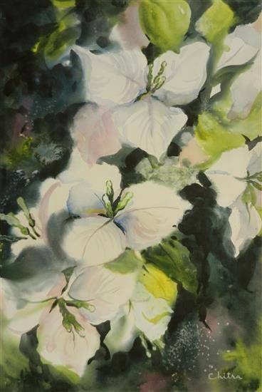 White Flowers - 2, painting by Chitra Vaidya