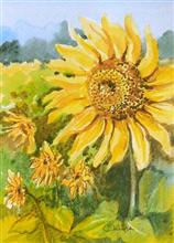 Painting by Chitra Vaidya - Sunflowers - 6