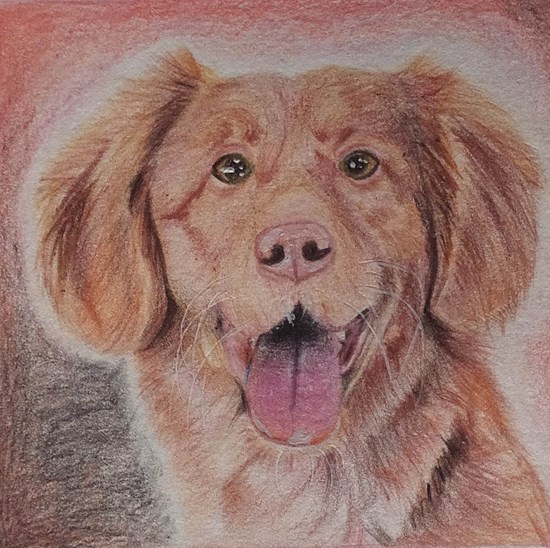 another dog, painting by Vaishnavi Gupta