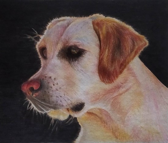 dog, painting by Vaishnavi Gupta
