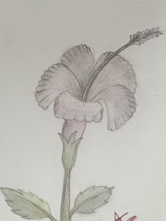 SOLITARY FLOWER, painting by A Ajanya