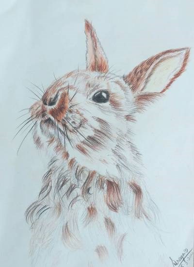 Curious Hare, painting by Shreya Belgundi