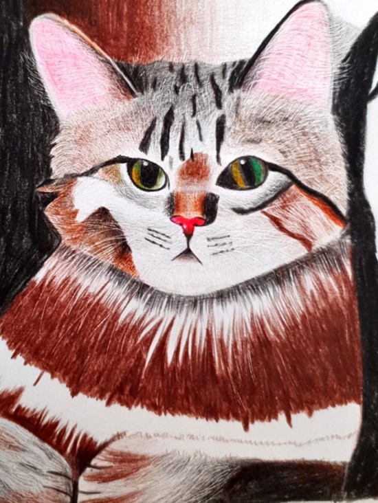 Cat Sherlock Holmes, painting by Shreya Belgundi