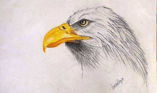 Painting  by Aaradhya Verma - White Eagle