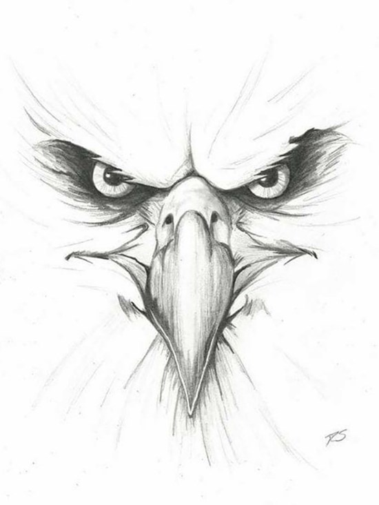 Face Of An Eagle, painting by Aaradhya Verma