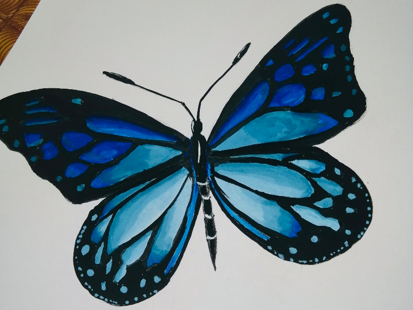 Painting  by Jothikha  - Butterfly