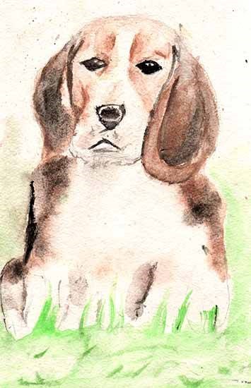 Beautiful Dog, painting by Ajayraja S