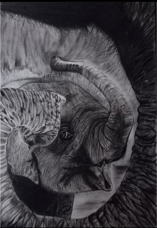 BABY ELEPHANT, painting by Supritha Sharma