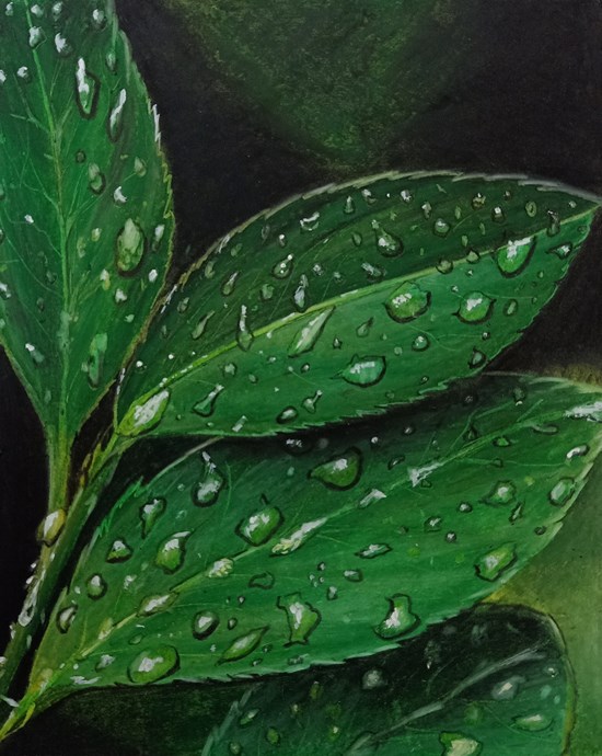 Leaves, painting by Supritha Sharma