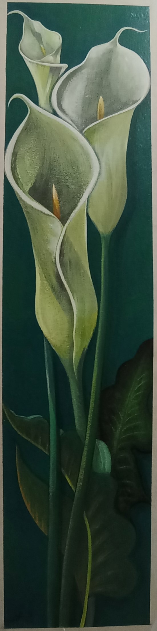 Three Calla flowers, painting by Khaled Hamdy .H