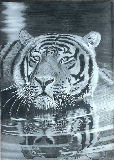 Painting  by Divya Joseph - Tiger and its reflection
