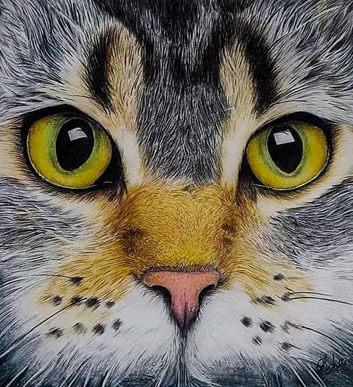 Cat, painting by Rucha Sohoni